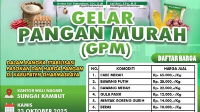 Betul-betul Murah! Kantor Walinagari Sungai Kambut Dharmasraya Gelar GPM Kamis 23 Oktober