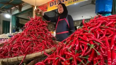 Pasokan Melimpah, Harga Cabai Merah Mulai Turun di Sumbar