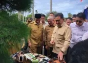 Lepas Ekspor 27 Ton Gambir Sumbar ke India, Mendag Berharap Ada Hilirisasi Seperti Ginseng