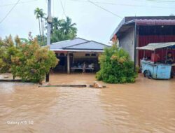 Puluhan Ribu Warga Padang Terdampak Banjir, Potensi Hujan Masih Tinggi