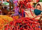 Lonjakan Harga Cabai di Padang Ngeri! Pagi Rp160 Ribu/Kg, Siang Tembus Rp230 Ribu