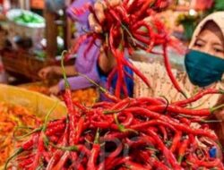 Lonjakan Harga Cabai di Padang Ngeri! Pagi Rp160 Ribu/Kg, Siang Tembus Rp230 Ribu