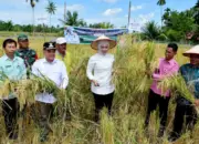 Berdayakan BUMNag, Pemkab Agam Gunakan 20% Dana Desa untuk Tingkatkan Ekonomi Nagari