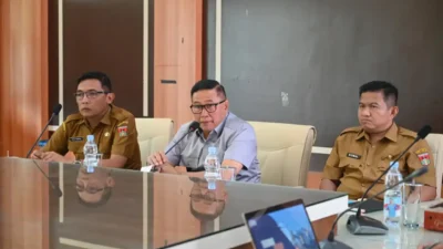 Minang Geopark Run 2025: Bukittinggi Suguhkan Keindahan Ngarai Sianok dan Los Lambuang