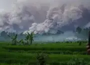 Gunung Simeru Meletus, Kabupaten Lumajang dalam Status Darurat