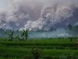 Gunung Simeru Meletus, Kabupaten Lumajang dalam Status Darurat