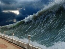 Gempa Dahsyat 7,6 M Guncang Jepang, Ombak Tsunami Hantam Misawa hingga Hokkaido