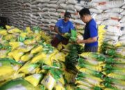 Cukup WhatsApp Mentan, Kepala Daerah Bisa Dapatkan Beras Bencana di Bulog Masing-masing