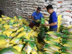 Cukup WhatsApp Mentan, Kepala Daerah Bisa Dapatkan Beras Bencana di Bulog Masing-masing