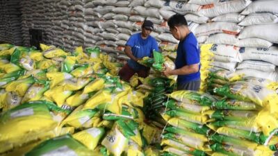 Cukup WhatsApp Mentan, Kepala Daerah Bisa Dapatkan Beras Bencana di Bulog Masing-masing