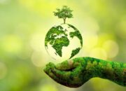 Profil Dinas Lingkungan Hidup Bone Bolango dan Perannya dalam Pembangunan Daerah