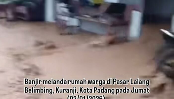 VIDEO: Galodo Datang, Warga Guo Pasa Lalang Kuranji Histeris Minta Tolong!