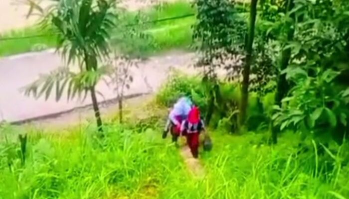 Mengharukan! Anak SD Batu Busuk Penuh Semangat Mendaki Bukit Pergi Sekolah, Karena Jalan Putus