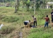 Dramatis! Polisi Berhasil Selamatkan Seorang Wanita dari Terkaman Buaya 3 Meter 