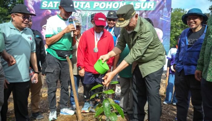 Alumni Pertanian Unand Hidupkan Kembali Tumbuhan Karumuntiang di Bukit Limau Manih