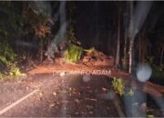 2 Jembatan Darurat Hanyut, Jalan Putus! Banjir dan Longsor Kembali Terjang Salareh Aia Palembayan