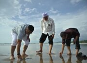 Jadi Idola Baru di Padang, Gubernur Cek Keselamatan Pengunjung di Pulau-Danau Pantai Parkit