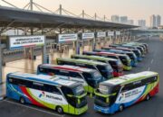 Pertamina Buka Mudik-Balik Gratis 2026, Begini Cara Pendaftarannya!